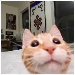 🙄