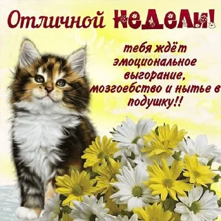 😊