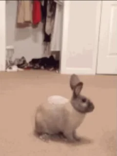 😨