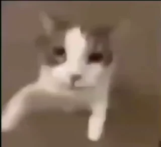 💞