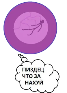 @BOINCPROTEINE