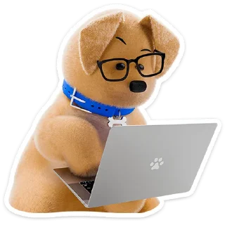 👨‍💻