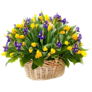🌼