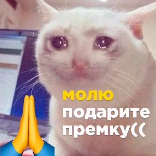 🙏