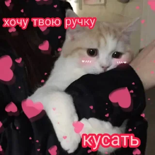 🥺