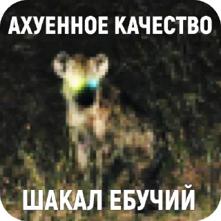 👍
