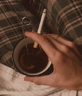 🍂