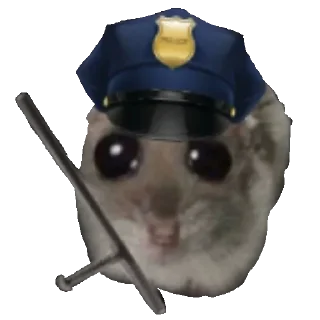 👮
