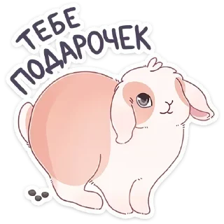 💩