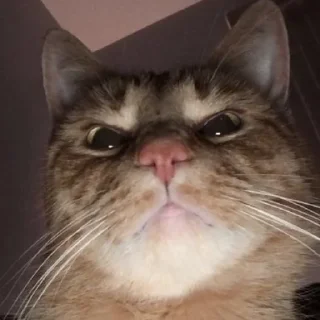 😠
