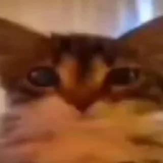 😐