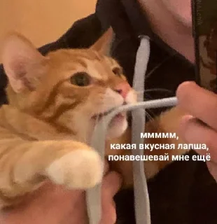 🍜