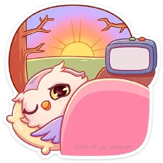 😴