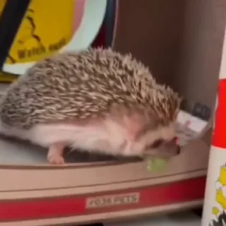 😡