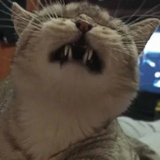 😙