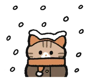 🍮