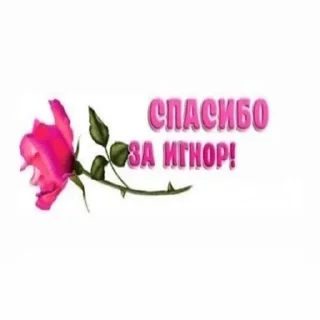 🌹