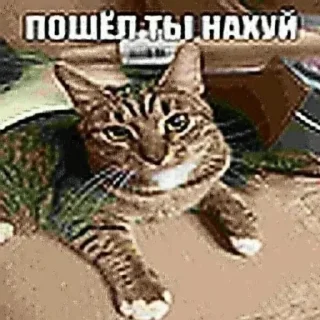 🖕