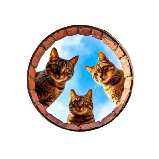 👁
