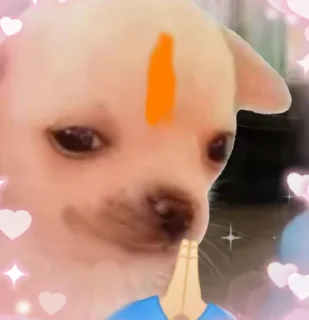 🙏