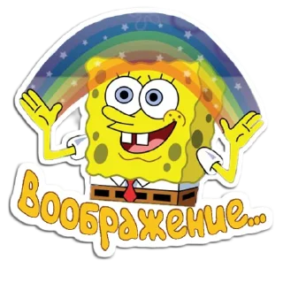 🧽