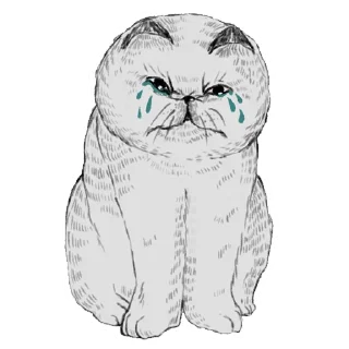 😭