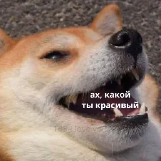 🤤