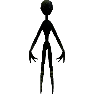 🌟