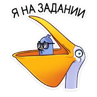 😎