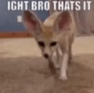 😡