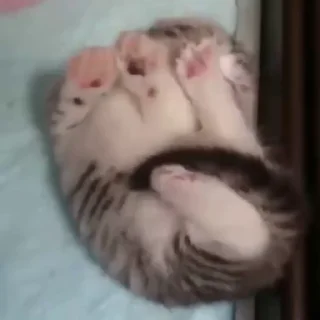 😴