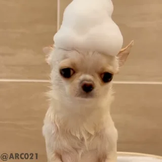 🙄