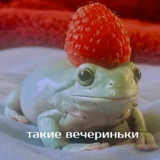 🎉