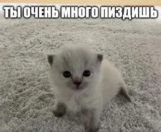 😡