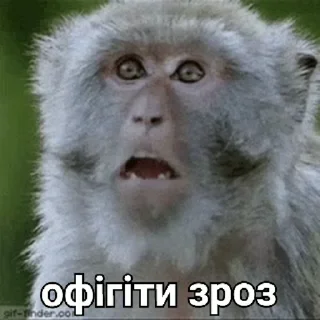 😯