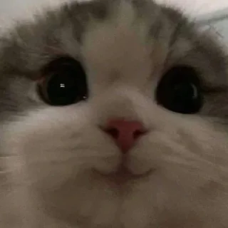 🤯