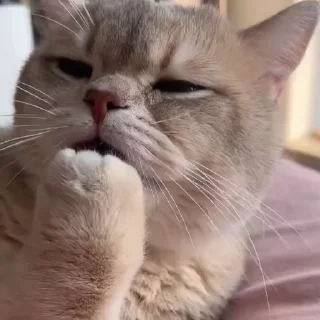 🤩