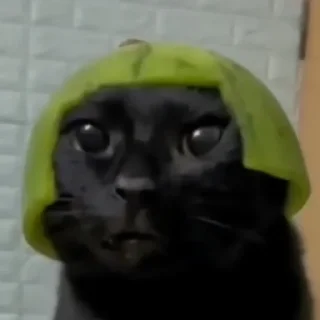 😶