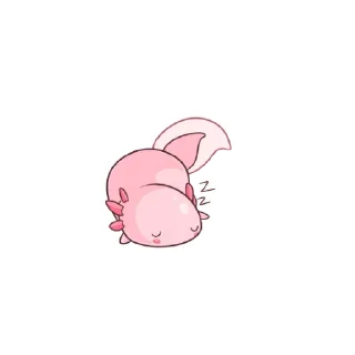 😴