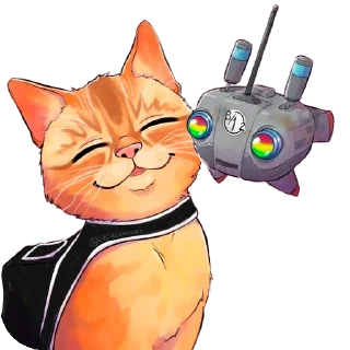 🐱
