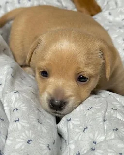 😕