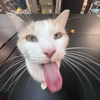 😜