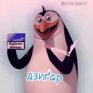 🐧