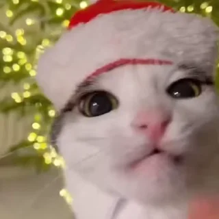👀