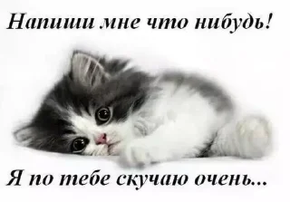 🥺