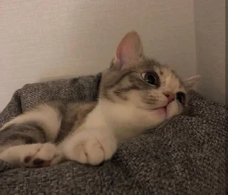 😍