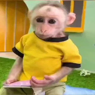🤔