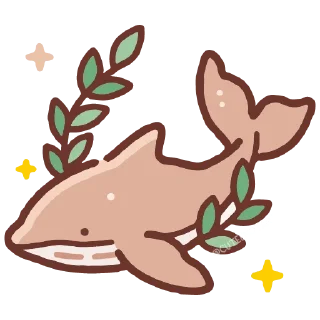 🐬