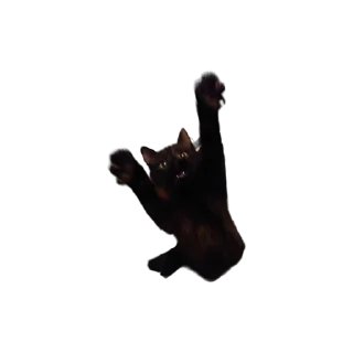 🙌