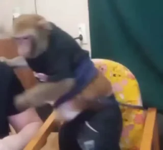 🙈